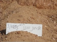עזרו לנו לבטל את הצעת החוק לגירוש ומאסר פליטים