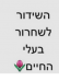 סגירת משחטת זוגלובק