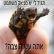 גיוס לכולם