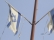 בואו נפסיק לבזות את דגלנו !!!