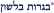 בגרות בלשון א' 16.6.2013