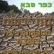 כפר סבא עיר חופשית! עצומה למען תחבורה ציבורית בשבת.